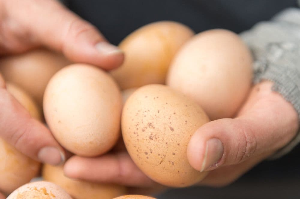 A close-up view of brown eggs in a farmer's hands.